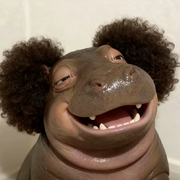 ᰔᩚ.小珠茱🌱