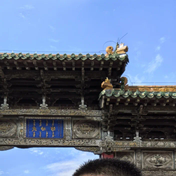 あ来自里昂的宽吻海豚海报