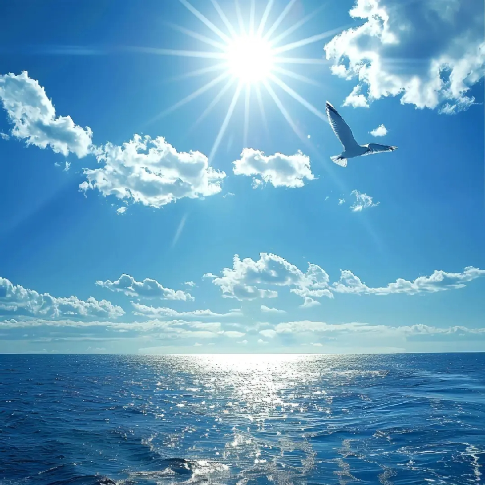 萌新宝宝👉雪6号海报