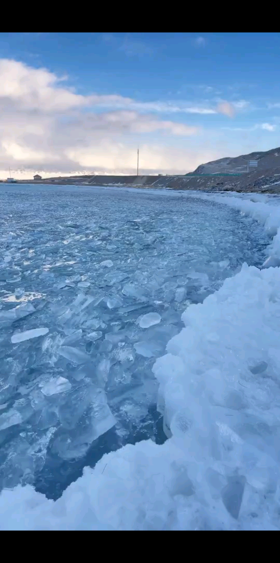 早上好宝贝哥哥们/喵