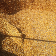 天天开心，哈哈