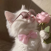 。。。。。。。enx