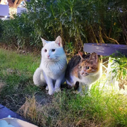 虎狼🐺大叔👴🏻的头像