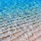 一秋风雨的头像