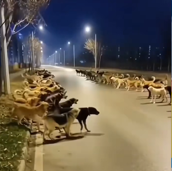 佑君???B不是，主播圖片