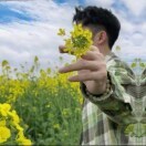 夜色微凉cpo的头像