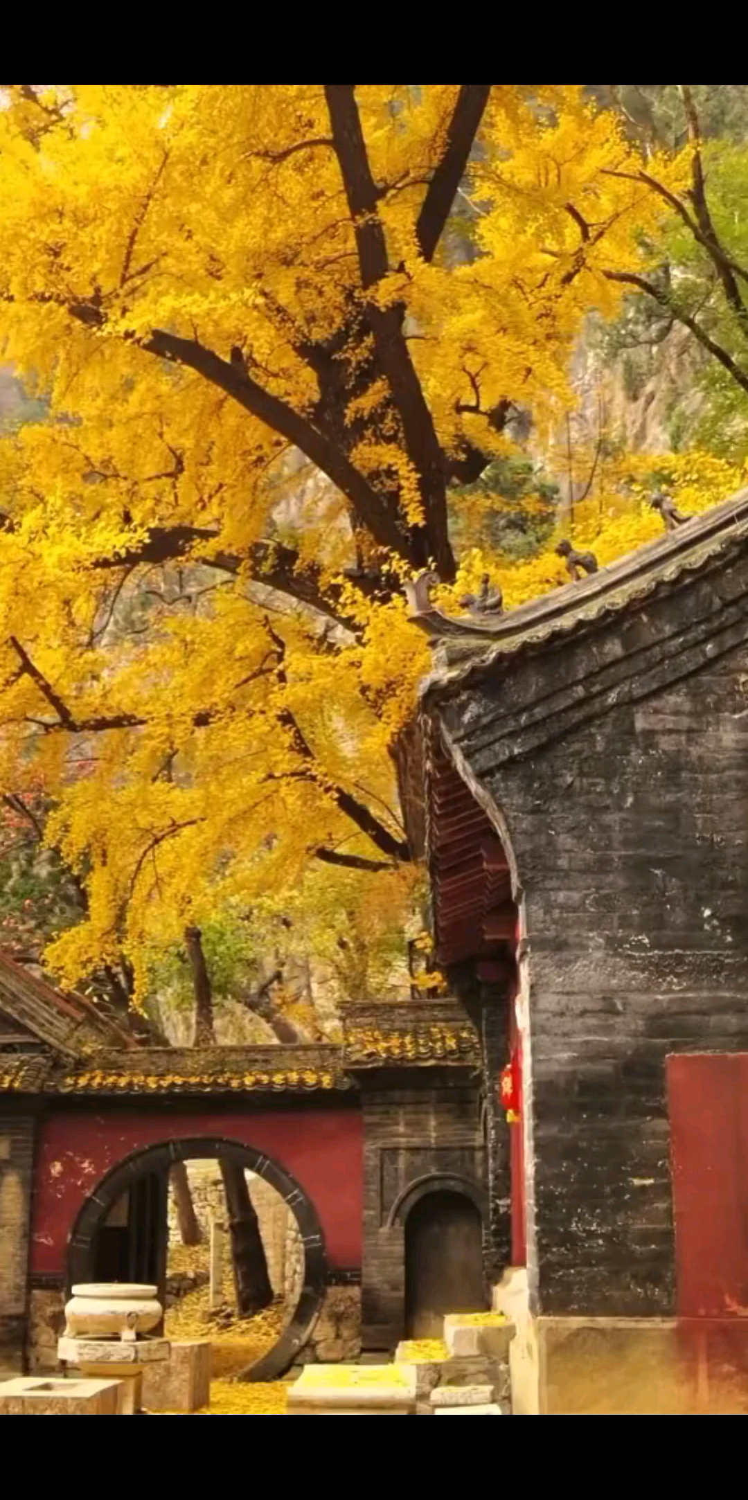 生活的目标就是健康和