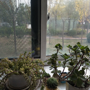 悠悠寸草心情的头像