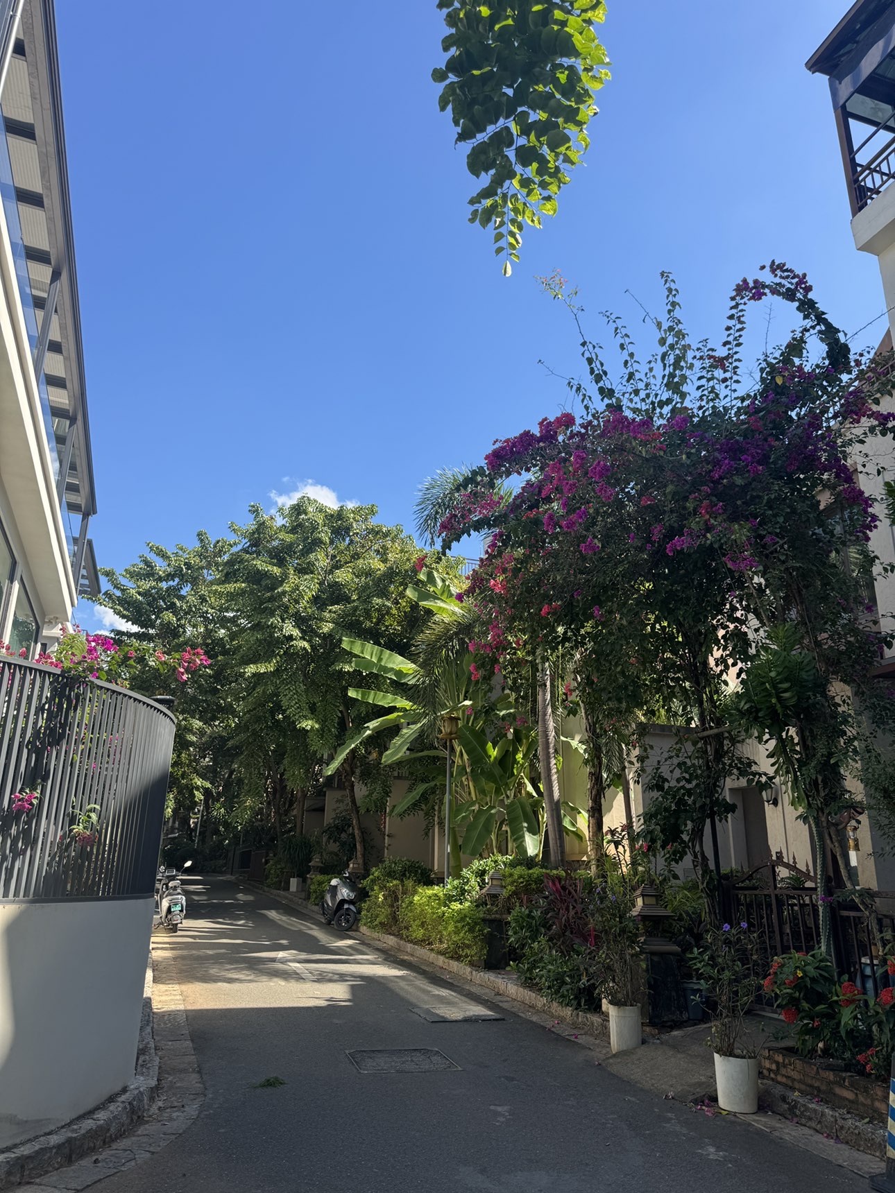 来颗豆子主播图片