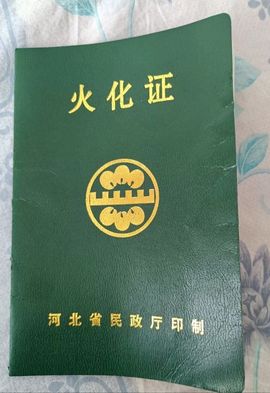 @一江東去@照片的图片