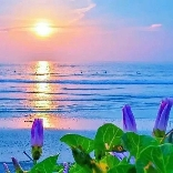 🍊狂魔🍋绝情