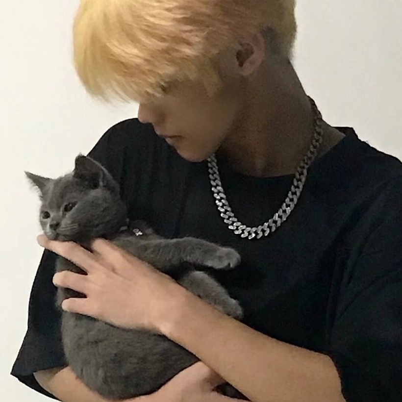 王者荣耀四岁星海报