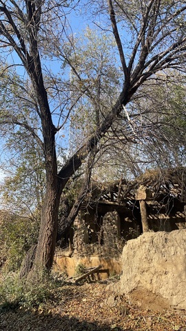 小喵🧚请对我好一点的图片