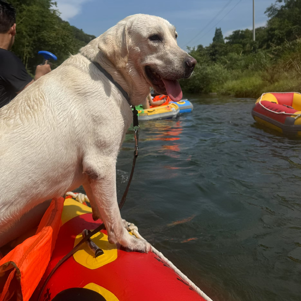 ╰☆叼烟♥拽天下☆╮海报