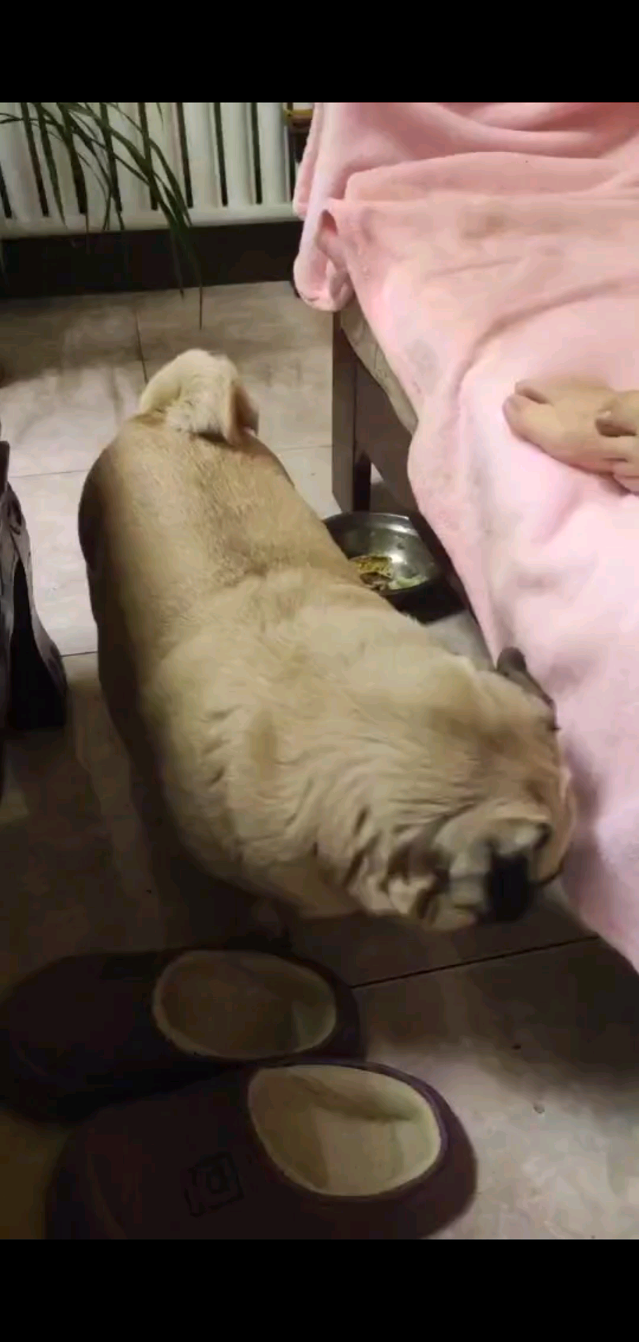 还记得15年前的我吗