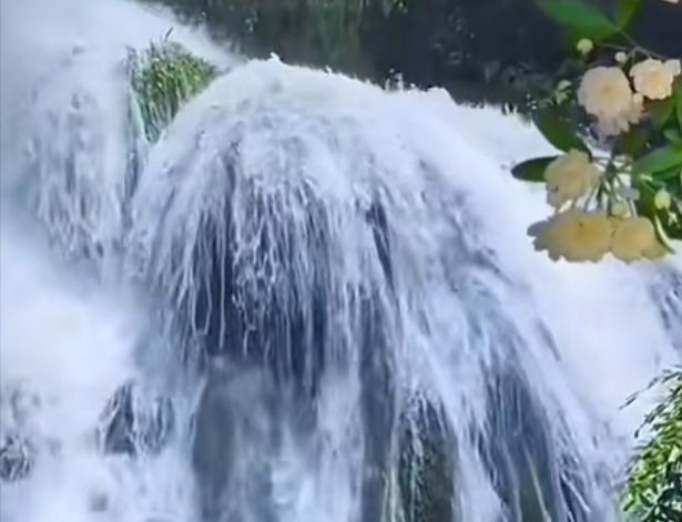 ◑忧闷的赫赫主播图片