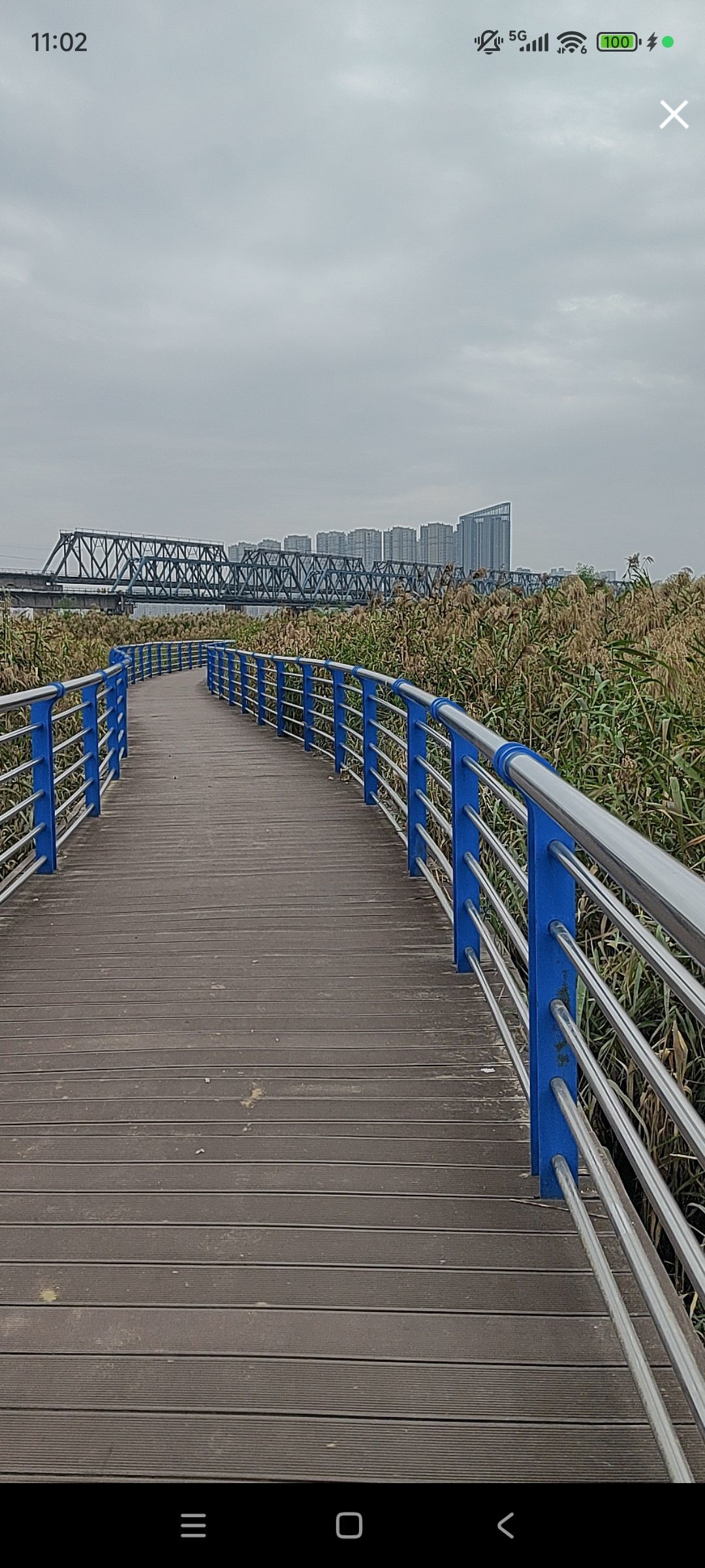 婷婷💕感恩有你陪伴主播图片