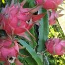 果品小王的头像