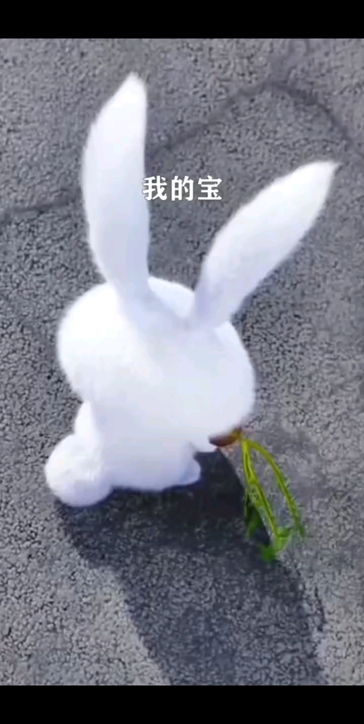 希望大家人生在世，快