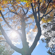 六六_石来运转海报