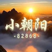 小朝阳•漂泊中