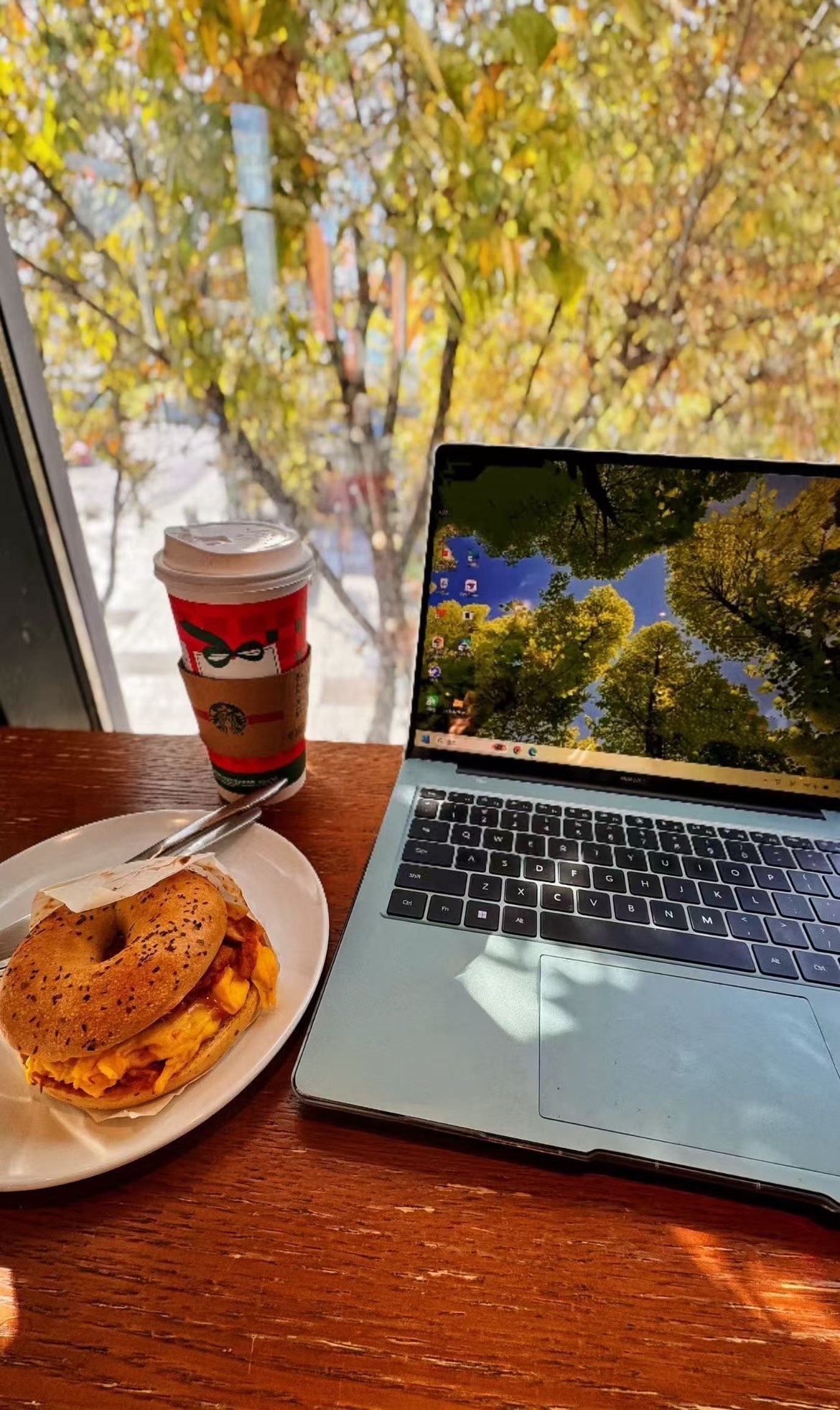 允初💗小趴菜主播图片