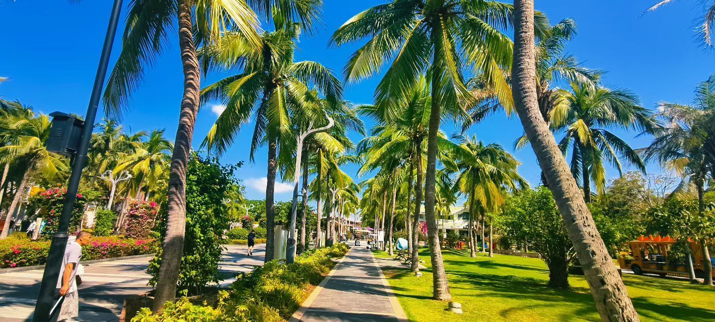 妞妞骑行海口主播图片