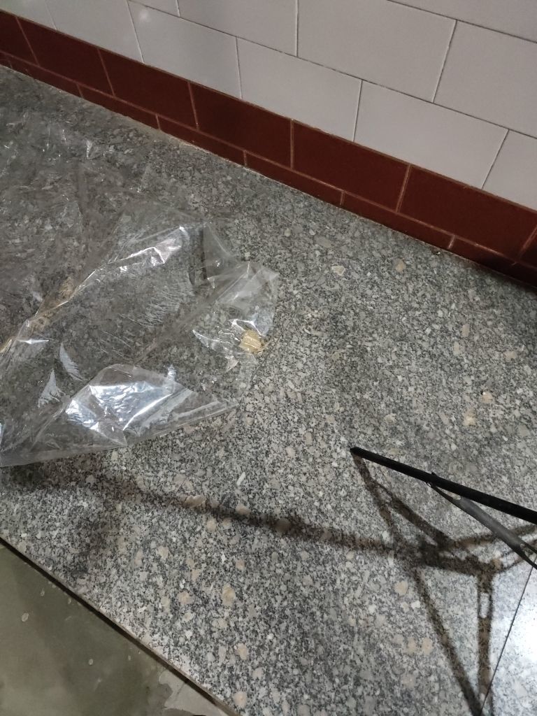 桃子🍑游园中主播图片