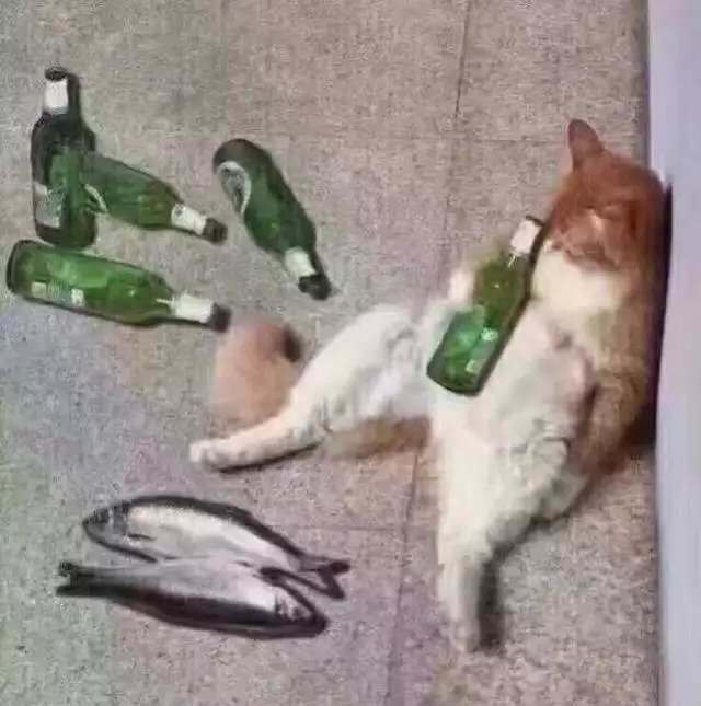 知人知面，不知心，主播图片