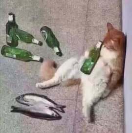 知人知面，不知心，的图片