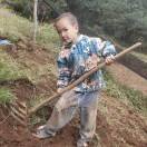 十忆永哈的头像