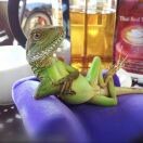 🌆朝与暮的头像