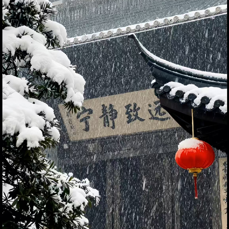 🍁戰🌟神🍁海报