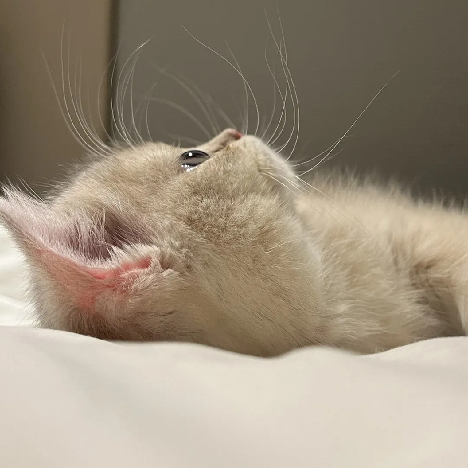 孤孤单单123海报