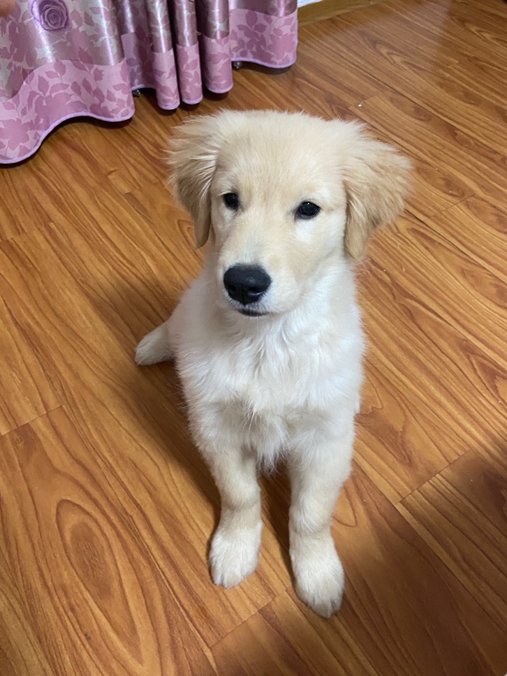 小可柔💜主播图片