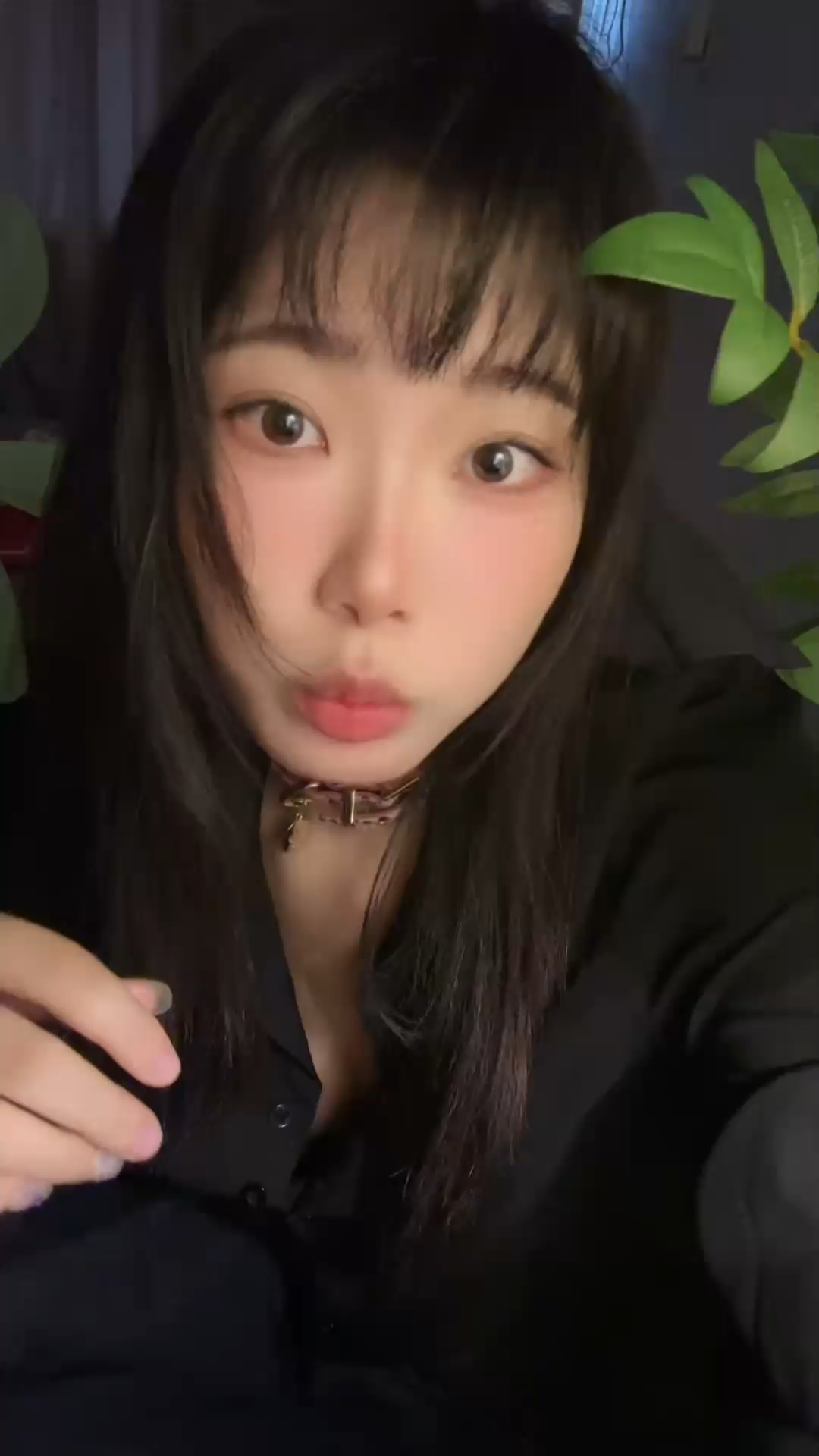 因为饿饿 主播改为早