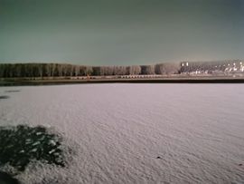 天王盖地虎虎044的图片