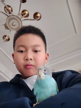 我是典典的图片