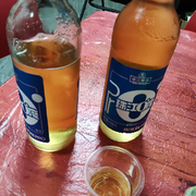 冰封九万里的头像