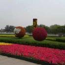 自由天空(湖北宝烁梁的头像