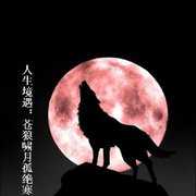 啸月银狼啸月
