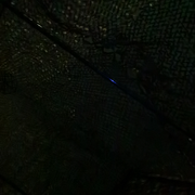 走了，大爷不玩了的头像