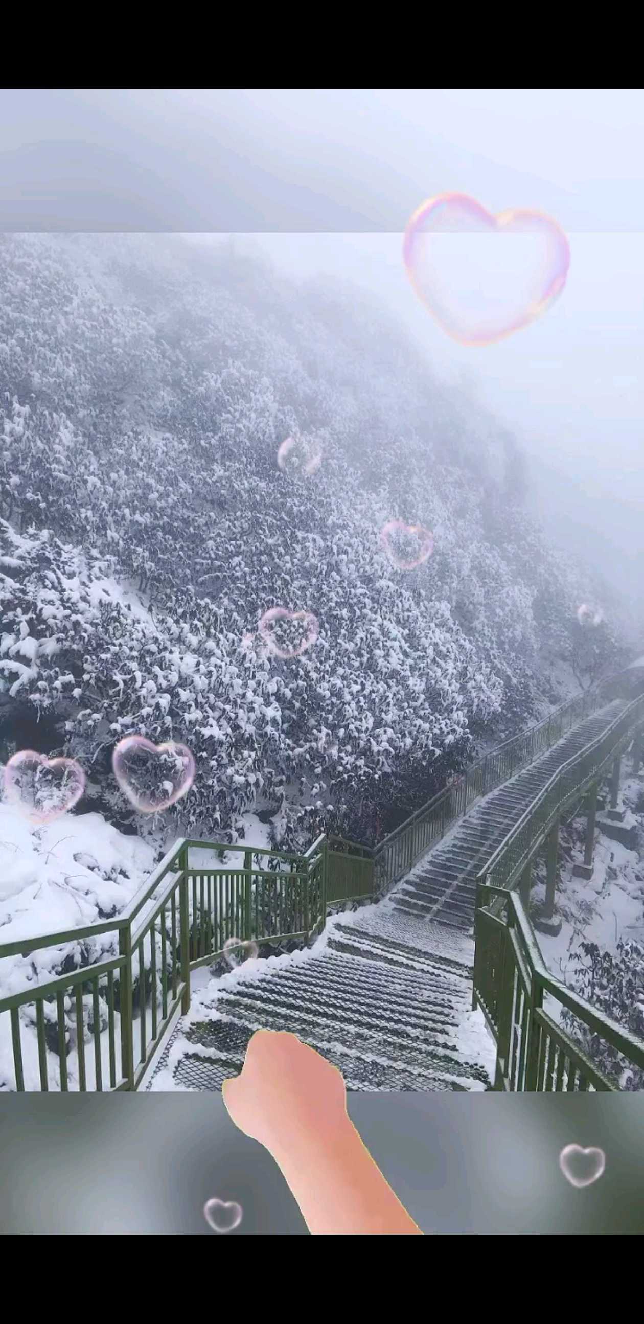 每一片雪花都是冬的来