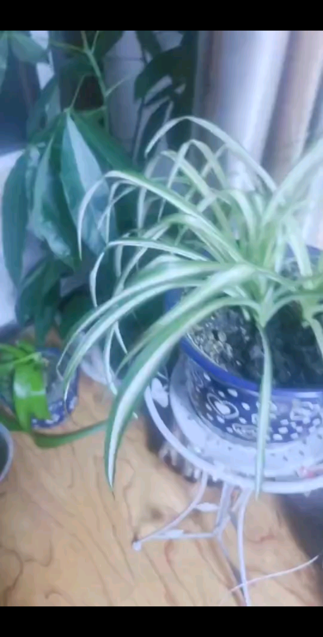 来来来，求评论，好看