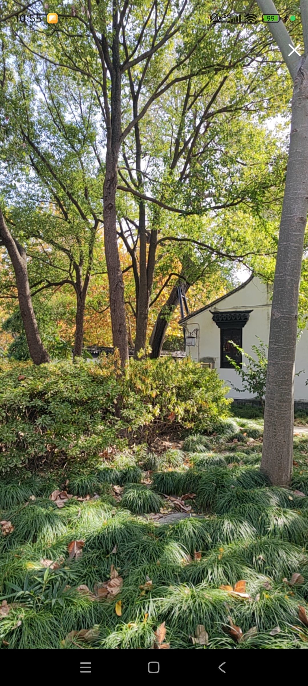 婷💕求过月底任务主播图片