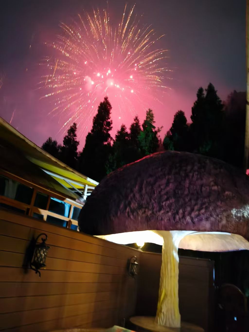 荣宝12月2日生日主播图片