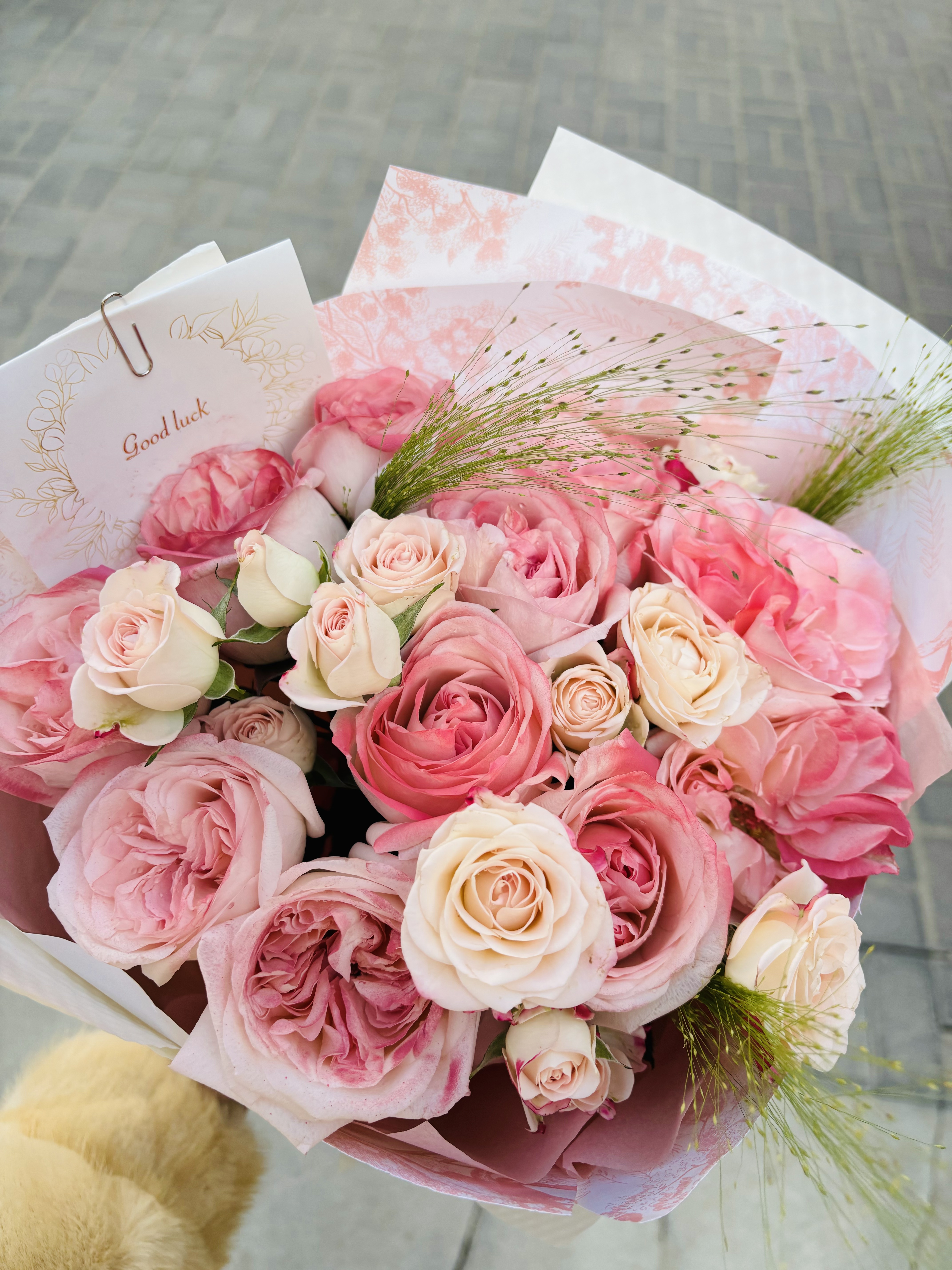 小意🐑主播图片