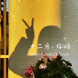 初见梦求🌻个上上签的图片