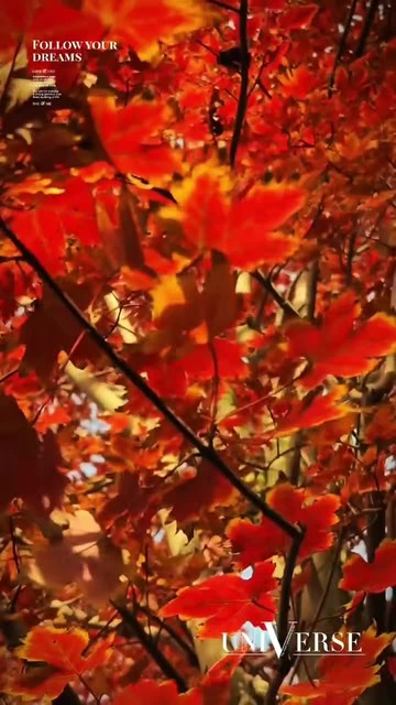 苏州昆山亭林园，漂亮