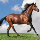 載舟之水bDw的頭像